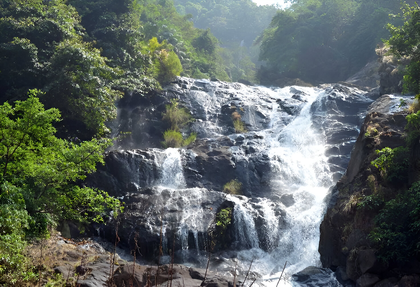 Waterfalls in Goa: Hidden Gems in Nature